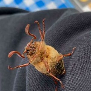 Meet your Posher, Jonathan